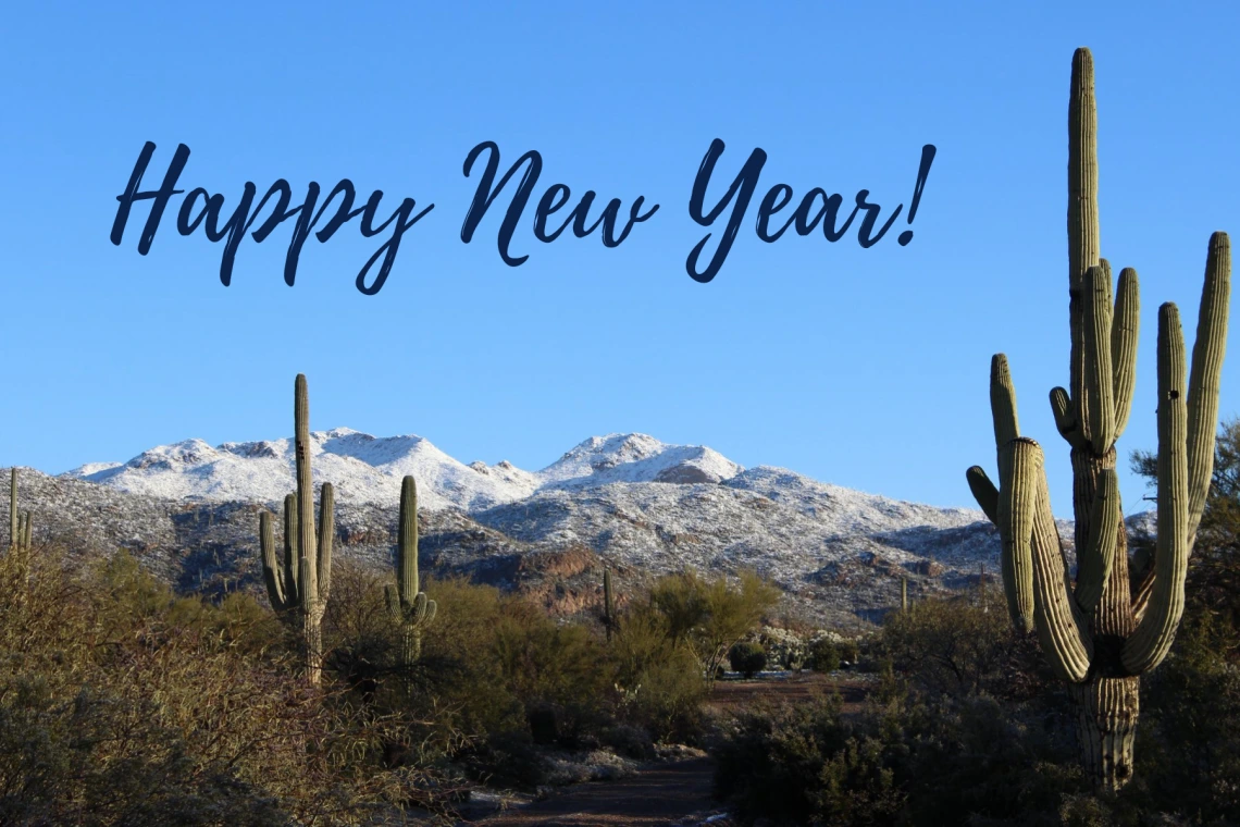 Snowy mountains in Tucson. Saguaros and palo verdes in the foreground.